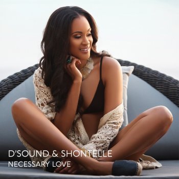 D'Sound feat. Shontelle Necessary Love