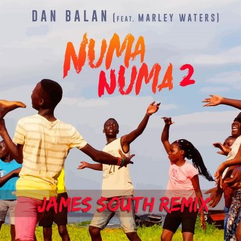 Dan Balan Numa Numa 2 (James South Remix)