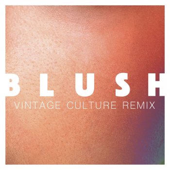 Elekfantz Blush - Vintage Culture Remix