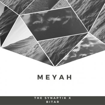 The Synaptik Meyah