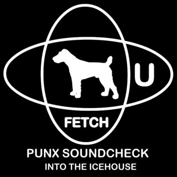 Punx Soundcheck feat. Spatial Awareness Into The Icehouse - Spatial Awareness Remix