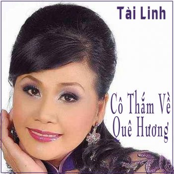 Tài Linh feat. Ngọc Hải Mưa Bụi