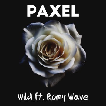 Paxel feat. Romy Wave Wild (feat. Romy Wave)