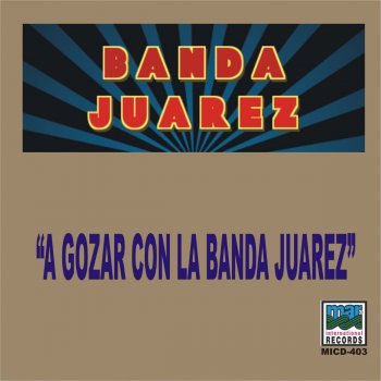 Banda Juarez El Vaselinas
