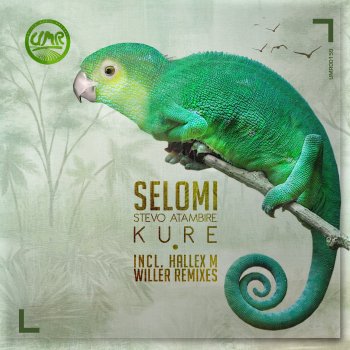 Selomi Kure (feat. Stevo Atambire)