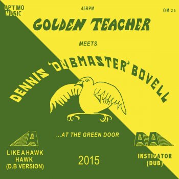 Golden Teacher Like a Hawk (DB Version)