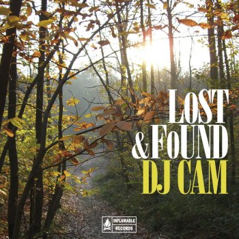 DJ Cam Lost & Found