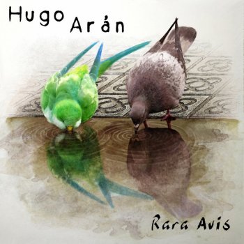 Hugo Arán Rara Avis