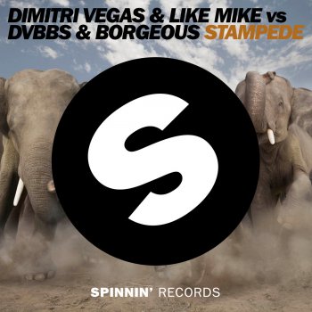 Dimitri Vegas & Like Mike feat. DVBBS & Borgeous Stampede