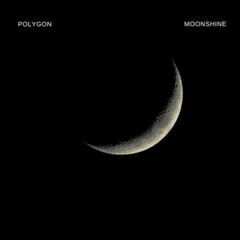 Polygon Moonshine