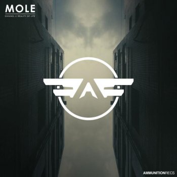 Mole Shining - Original Mix