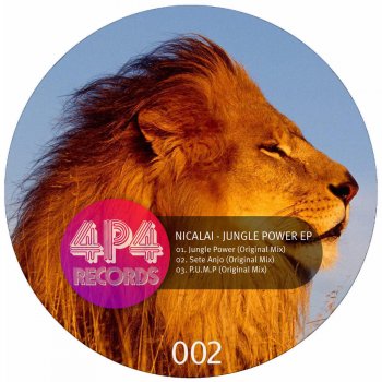 Nicalai Jungle Power - Original Mix