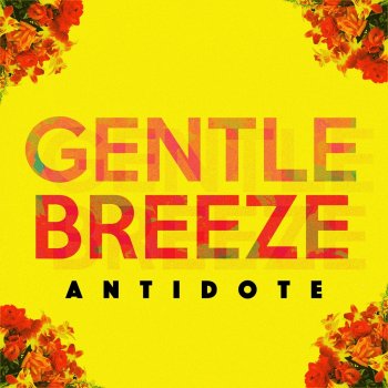 Antidote Orchids