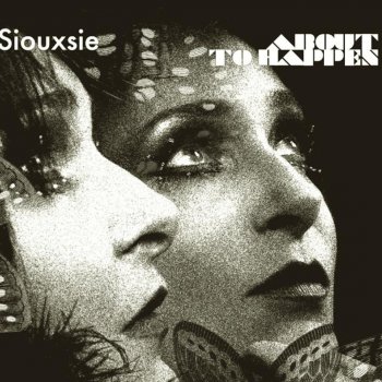 Siouxsie Here Comes That Day (Live In Paris)