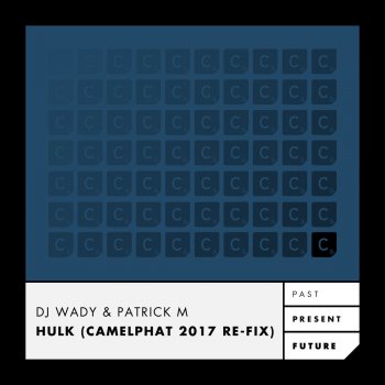 Dj Wady feat. Patrick M Hulk (Camelphat 2017 Re-Fix)