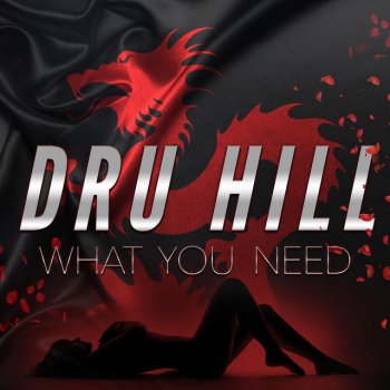 Dru Hill What You Need