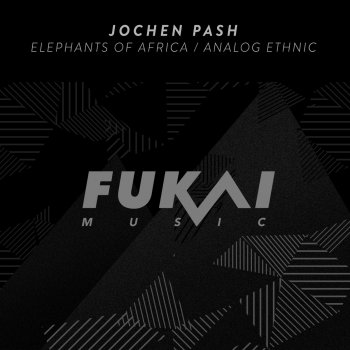 Jochen Pash Elephants of Africa
