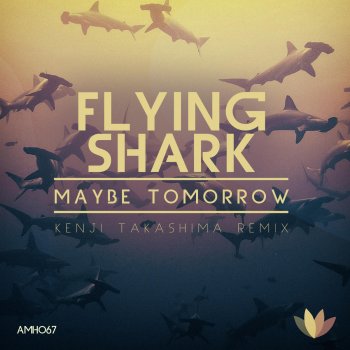 Maybe Tomorrow Flying Shark