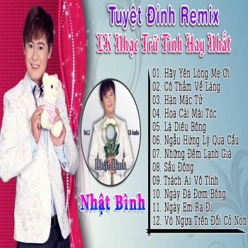 Nhat Binh Trách Ai Vô Tình (Remix)
