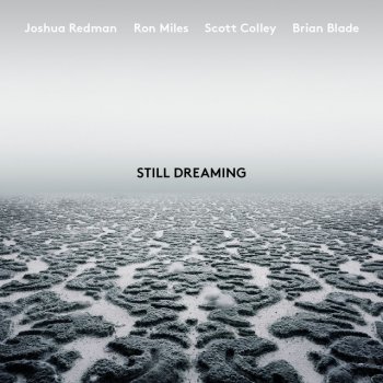 Joshua Redman feat. Brian Blade, Ron Miles & Scott Colley Unanimity (feat. Ron Miles, Scott Colley & Brian Blade)