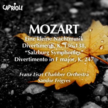 Wolfgang Amadeus Mozart, Franz Liszt Chamber Orchestra & Sandor Frigyes Divertimento No. 10 in F Major, K. 247, "Lodron Night Music No. 1": V. Menuetto