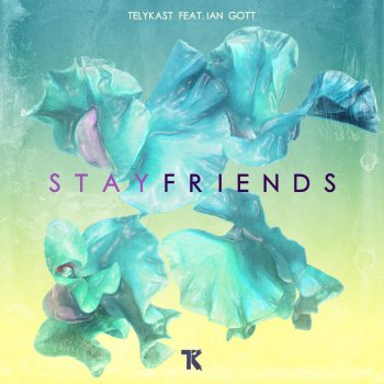 Ian Gott feat. Telykast Stay Friends