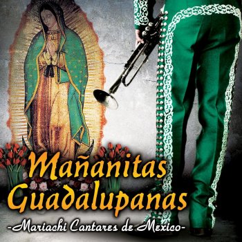 Mariachi Cantares De Mexico Flores Guadalupanas