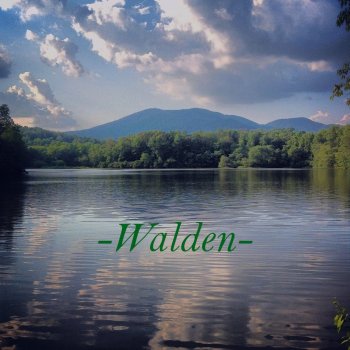 Walden The Tree