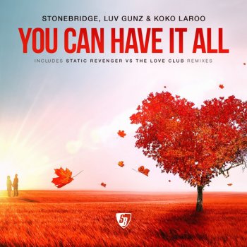 StoneBridge, Luv Gunz & Koko LaRoo You Can Have It All - Static Revenger vs. The Love Club Remix