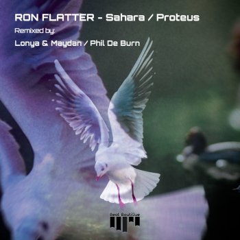 Ron Flatter feat. Phil de Burn Proteus - Phil de Burn Space Travel Remix