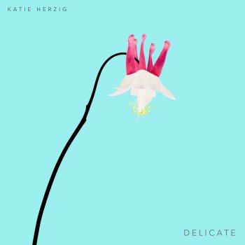 Katie Herzig Strangers (Delicate Version)