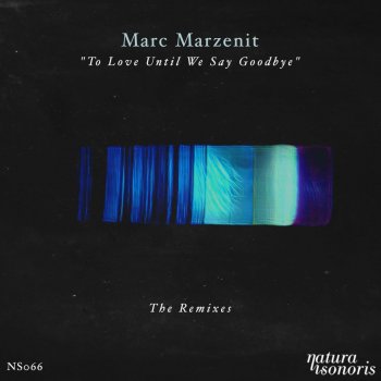 Marc Marzenit To Love until We Say Goodbye (THe WHite SHadow (FR) Remix)