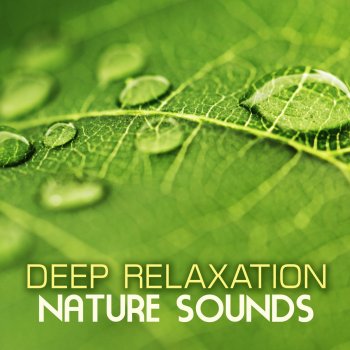 Deep Relaxation Meditation Academy Lotus Blossom