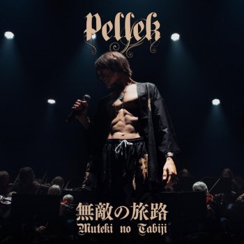 PelleK feat. Diana Garnet Kegareta Michi e no Tatakai (穢れた道への闘い)