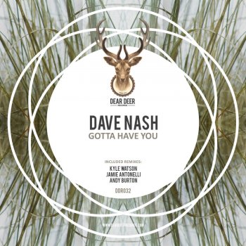 Dave Nash Gotta Have U (Jamie Antonelli Remix)