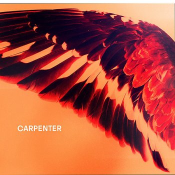 Carpenter I Put My Heart In Everything