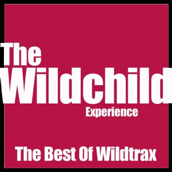 Wildchild Jump to My Beat - Us Remix Mike Wertheim