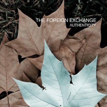 The Foreign Exchange The Last Fall