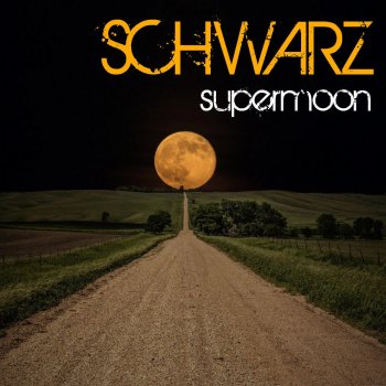 Schwarz The Mechanic - Original Mix