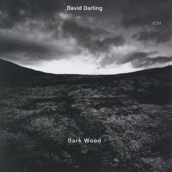 David Darling Up Side Down (Darkwood VI)
