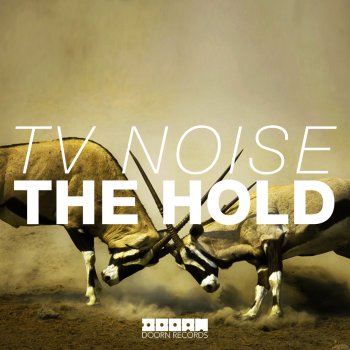 TV Noise The Hold (Original Mix Edit)