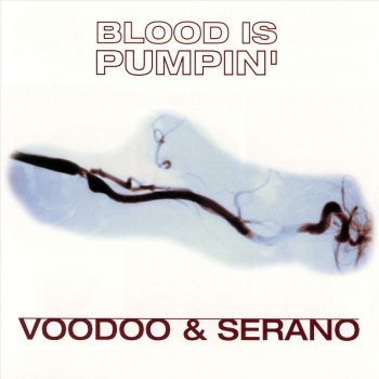 Voodoo & Serano Blood Is Pumpin' (original edit)