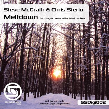 Chris Sterio feat. Steve McGrath Meltdown (Kay-D Remix)