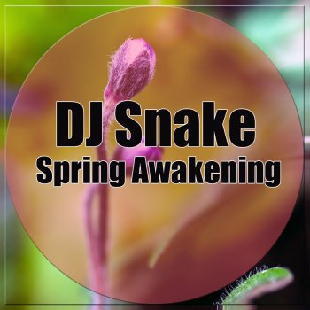 Dj Snake Spring Awakening
