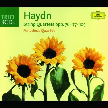 Amadeus Quartet String Quartet in D Minor HIII No. 83, Op. 103: II. Menuet ma non troppo presto - Trio