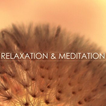 Relaxation and Meditation Spa Music
