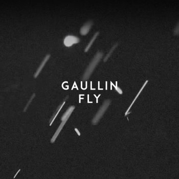Gaullin Fly