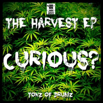 Curious Like The Sunshine - Original Mix