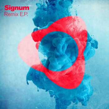 Signum Any Given Moment - Manuel Le Saux Remix