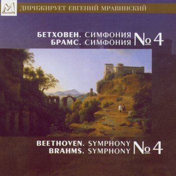 Johannes Brahms Symphony No. 4 In E Minor, Op. 98: Allegro Energico E Passionato